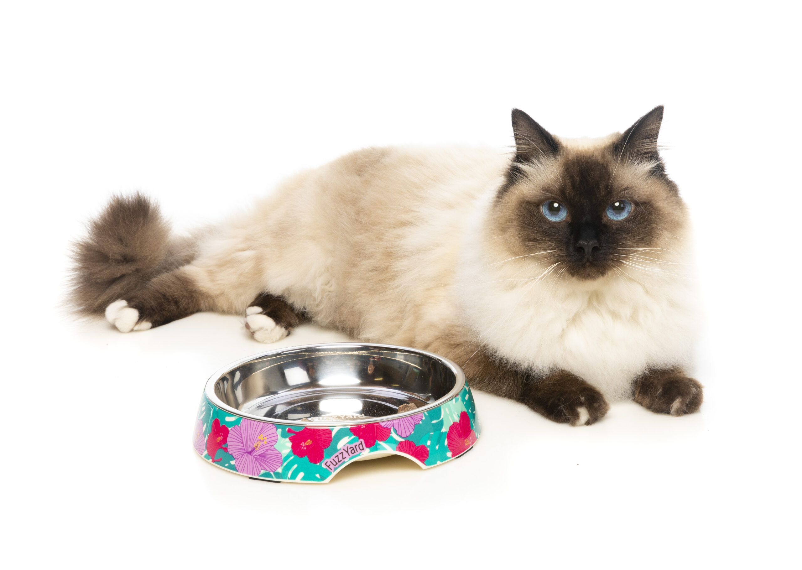 FuzzYard Cat Feeding Bowl (Design: Lahaina) FuzzYard Cat Feeding Bowl (Design: Lahaina)