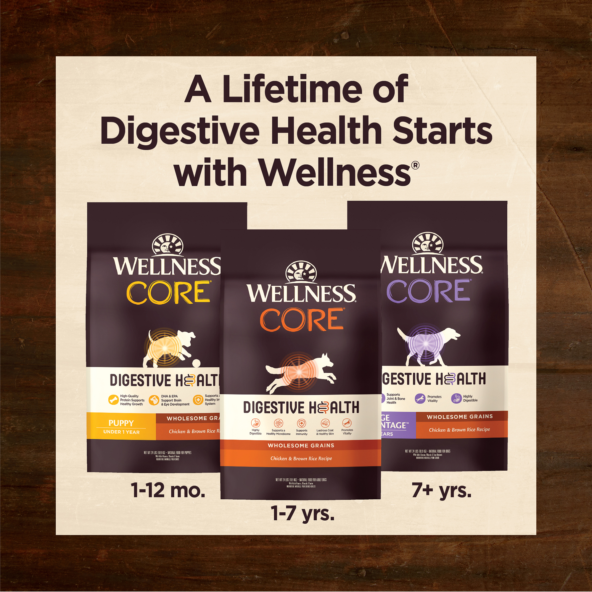 DSN_COR_DigestiveHealth_EComm_AgeAdv